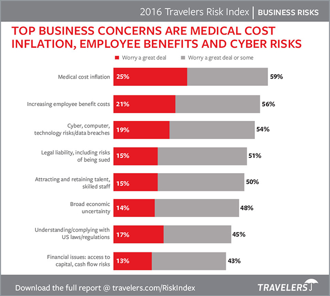 Top Business Risk Concerns